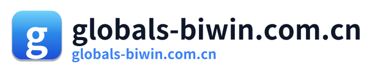 globals-biwin.com.cn